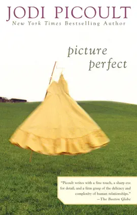 Read: Book Picture Perfect
