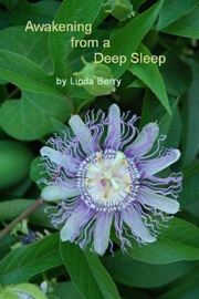 Awakening from a Deep Sleep - Linda Berry