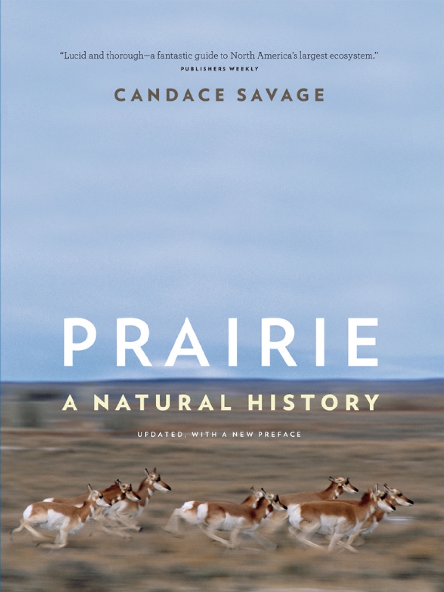 Prairie cover