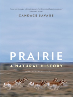 Prairie by Candace Savage