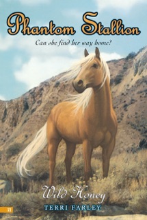 Phantom Stallion #22: Wild Honey by Terri Farley