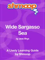 Wide Sargasso Sea: Shmoop Learning Guide