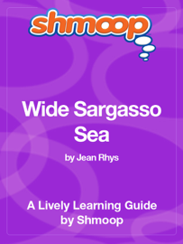 Wide Sargasso Sea: Shmoop Learning Guide