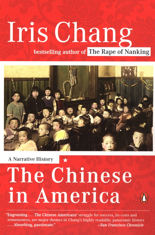 The Chinese in America