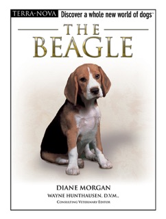 The Beagle by Diane Morgan
