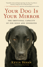 Your Dog Is Your Mirror - Kevin Behan Cover Art