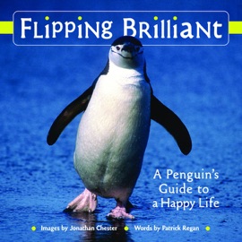 Flipping Brilliant - Jonathan Chester