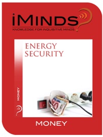 Energy Security - iMinds