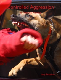 Controlled Aggression - Girard Bradshaw