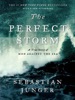 Book The Perfect Storm: A True Story of Men Against the Sea