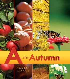 A Is for Autumn by Robert Maass