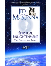 Book cover for Spiritual Enlightenment: The Damnedest Thing ET1 by Jed McKenna