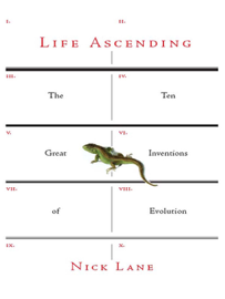 Life Ascending