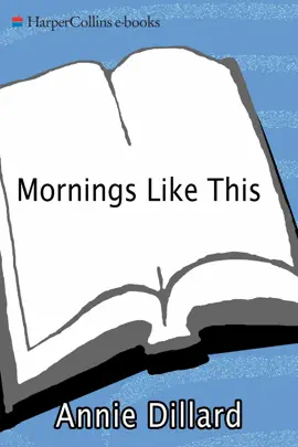 Read: Mornings Like Book This