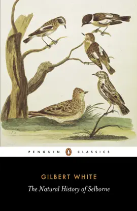 Read: The Book Natural History of Selborne