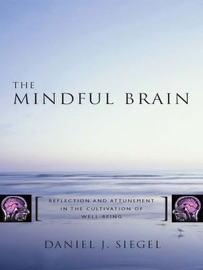 The Mindful Brain: Reflection and Attunement in the Cultivation of Well-Being (Norton Series on Interpersonal Neurobiology) - Daniel J. Siegel, MD