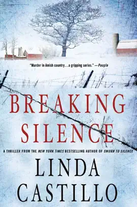 Read: Book Breaking Silence