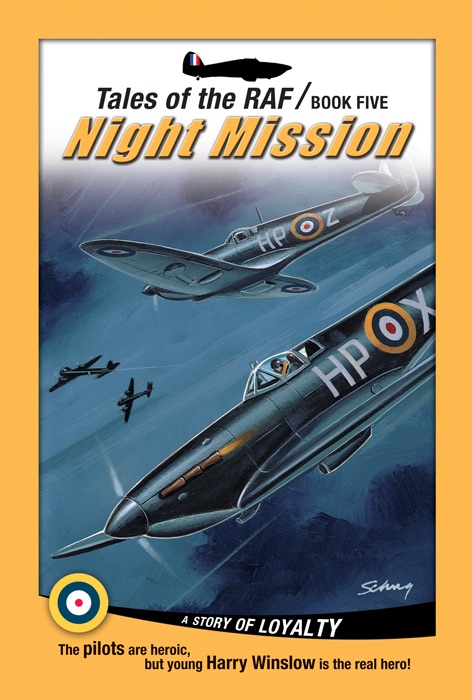 Night Mission (Tales of the RAF) (Tales of the Raf) cover