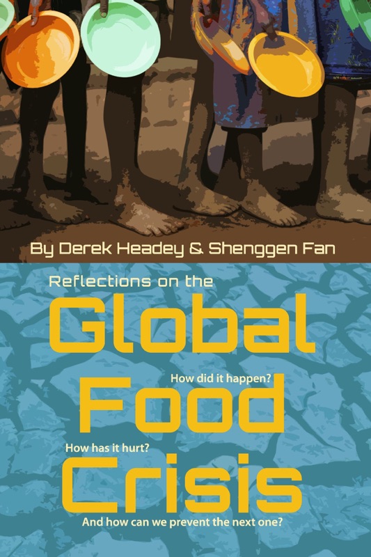 Reflections On the Global Food Crisis