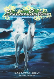 Phantom Stallion: Wild Horse Island #4: Castaway Colt