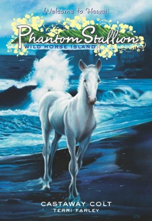 Phantom Stallion: Wild Horse Island #4: Castaway Colt by Terri Farley