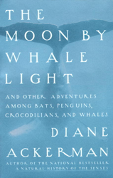 Moon By Whale Light