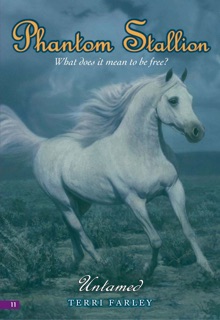 Phantom Stallion #11: Untamed by Terri Farley