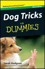 Dog Tricks For Dummies ®, Mini Edition