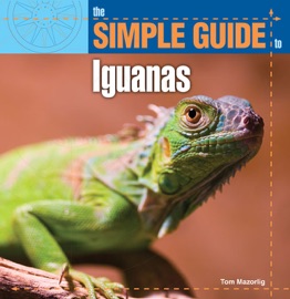 The Simple Guide to Iquanas - Thomas Mazorlig