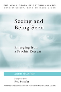 Seeing and Being Seen by John Steiner