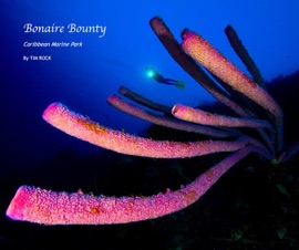 Bonaire Bounty - Tim Rock