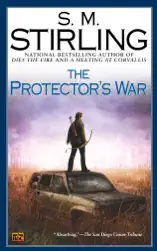 The Protector's War