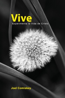 Vive by Joel Comiskey