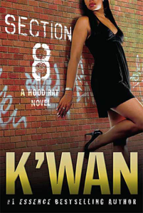 Section 8 - K'wan Cover Art