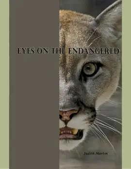 Eyes on the Endangered