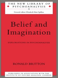 Belief and Imagination