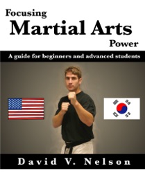 Focusing Martial Arts Power: A Guide For Beginners And Advanced Students - David V. Nelson