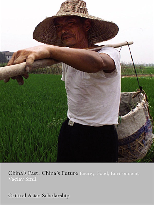 China's past, China's future cover