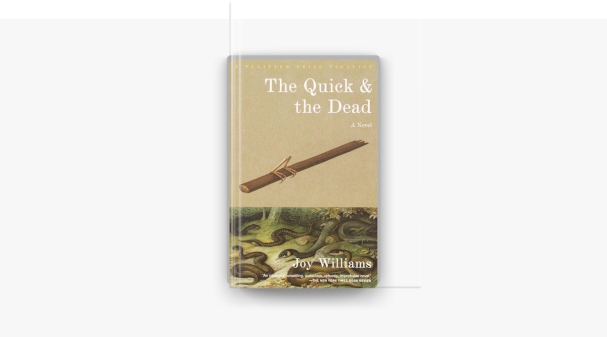 Book Review: 'The Quick And The Dead' By Joy Williams