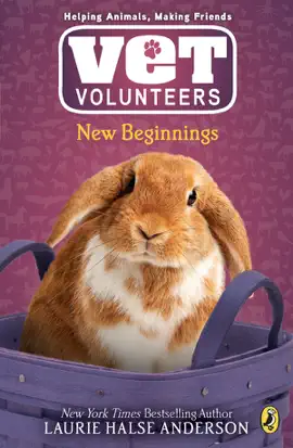 Read: New Beginnings Book