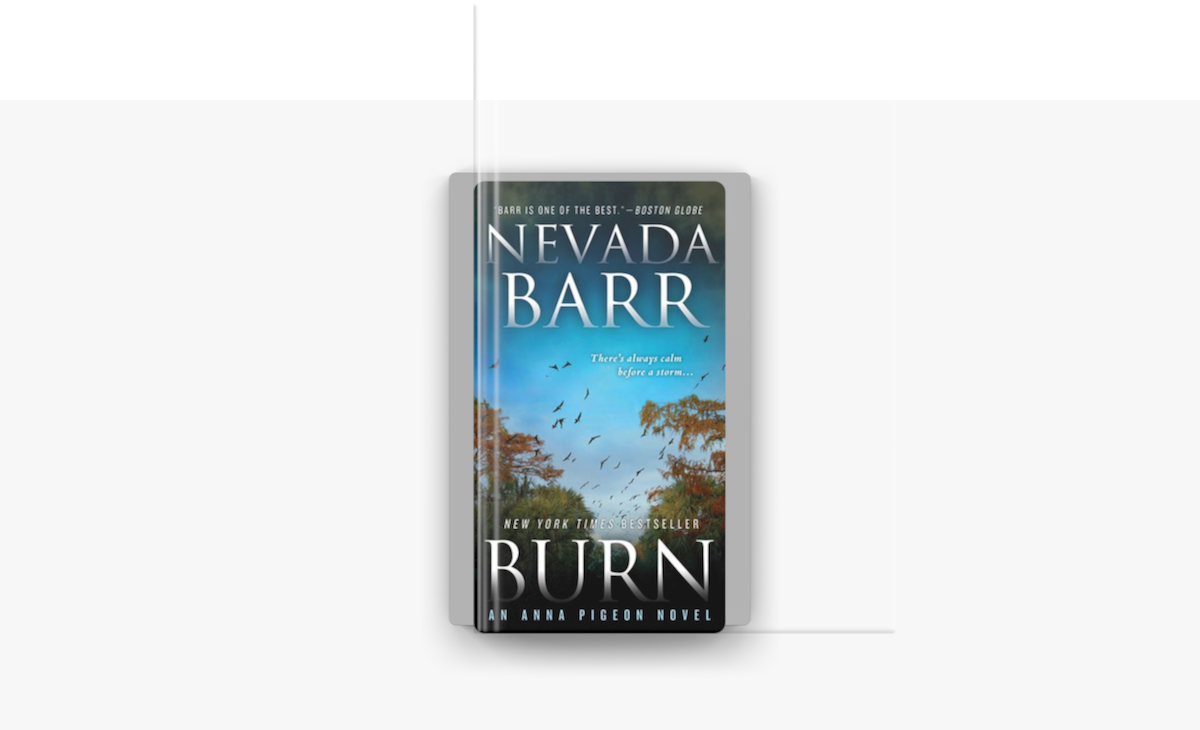 Burn On Apple Books
