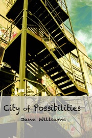 City of Possibilities - Jane Williams