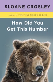 How Did You Get This Number - Sloane Crosley