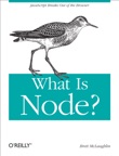 What Is Node?