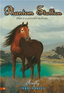 Phantom Stallion #18: Firefly by Terri Farley