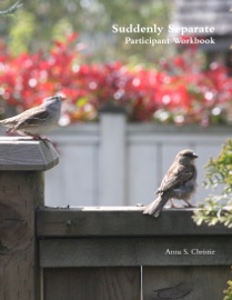 Suddenly Separate Participant Workbook