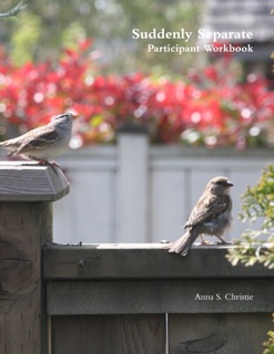 Suddenly Separate Participant Workbook by Anna S. Christie