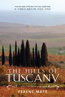 The Hills of Tuscany by Ferenc Máté