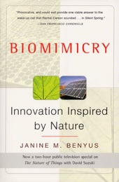 Book cover for Biomimicry by Janine M Benyus