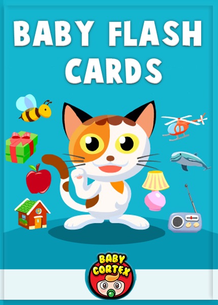 Baby Flash Cards